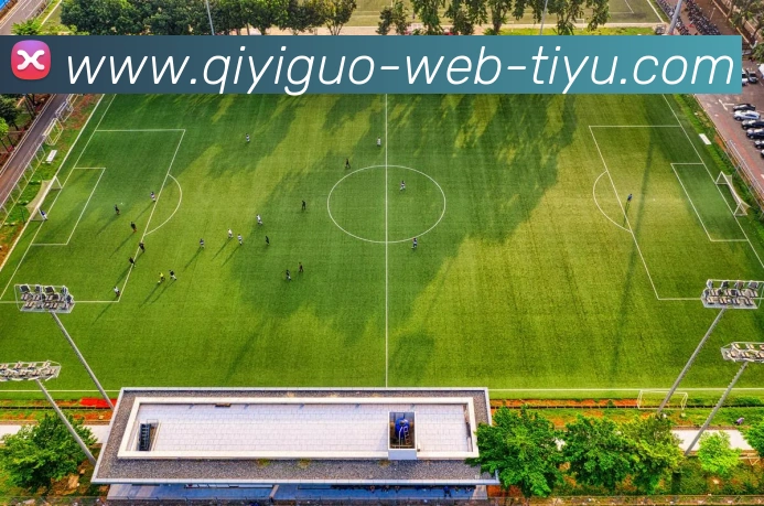 App Interface Preview