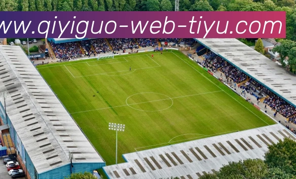 奇异果体育APP 封面图